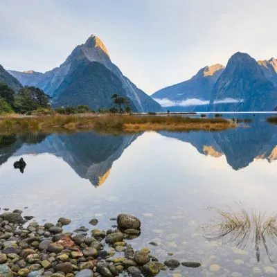 Work Visa New Zealand